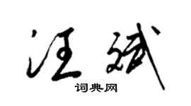 梁锦英汪斌草书个性签名怎么写