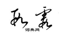 梁锦英段霞草书个性签名怎么写
