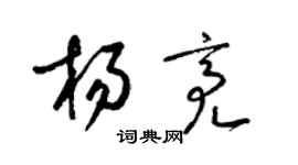 梁锦英杨亮草书个性签名怎么写