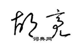 梁锦英胡亮草书个性签名怎么写