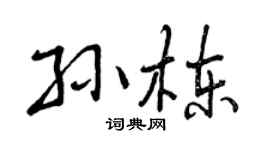 曾庆福孙栋行书个性签名怎么写