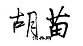 曾庆福胡苗行书个性签名怎么写