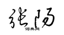 梁锦英张阳草书个性签名怎么写