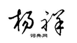 梁锦英杨祥草书个性签名怎么写