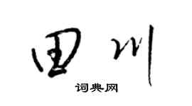 梁锦英田川草书个性签名怎么写