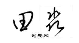 梁锦英田淼草书个性签名怎么写