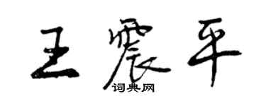 曾庆福王震平行书个性签名怎么写