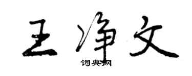 曾庆福王净文行书个性签名怎么写