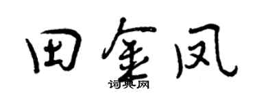 曾庆福田金凤行书个性签名怎么写