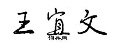 曾庆福王宜文行书个性签名怎么写