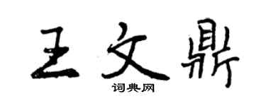 曾庆福王文鼎行书个性签名怎么写