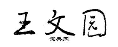 曾庆福王文园行书个性签名怎么写