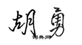 骆恒光胡勇行书个性签名怎么写