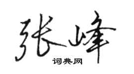 骆恒光张峰行书个性签名怎么写