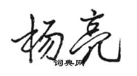 骆恒光杨亮行书个性签名怎么写