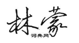 骆恒光林蒙行书个性签名怎么写