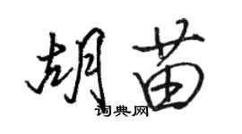 骆恒光胡苗行书个性签名怎么写
