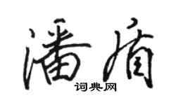 骆恒光潘盾行书个性签名怎么写