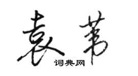 骆恒光袁苇行书个性签名怎么写