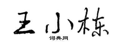 曾庆福王小栋行书个性签名怎么写