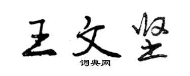 曾庆福王文坚行书个性签名怎么写