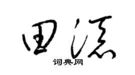 梁锦英田添草书个性签名怎么写