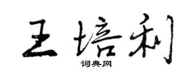 曾庆福王培利行书个性签名怎么写