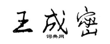 曾庆福王成密行书个性签名怎么写
