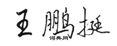 骆恒光王鹏挺行书个性签名怎么写