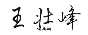 骆恒光王壮峰行书个性签名怎么写