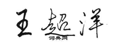骆恒光王超洋行书个性签名怎么写