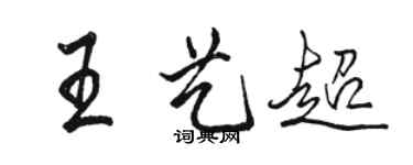 骆恒光王艺超行书个性签名怎么写