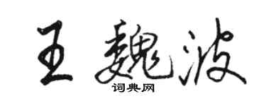 骆恒光王魏波行书个性签名怎么写