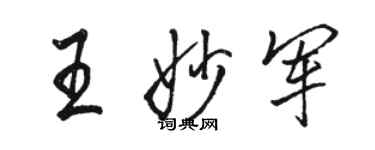 骆恒光王妙军行书个性签名怎么写