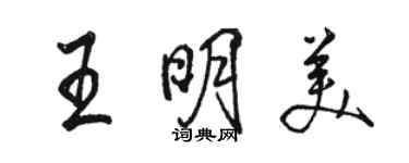 骆恒光王明美行书个性签名怎么写