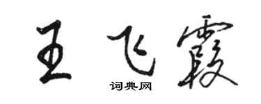 骆恒光王飞霞行书个性签名怎么写