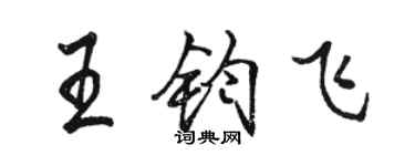 骆恒光王钧飞行书个性签名怎么写