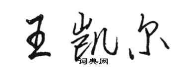 骆恒光王凯尔行书个性签名怎么写