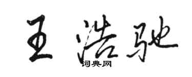 骆恒光王浩驰行书个性签名怎么写