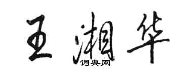骆恒光王湘华行书个性签名怎么写