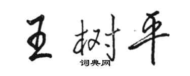 骆恒光王树平行书个性签名怎么写