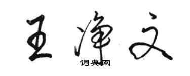 骆恒光王净文行书个性签名怎么写