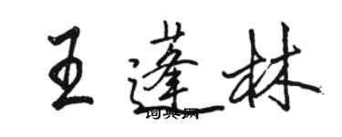 骆恒光王蓬林行书个性签名怎么写