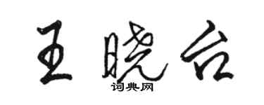 骆恒光王晓台行书个性签名怎么写