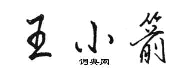 骆恒光王小箭行书个性签名怎么写