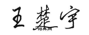 骆恒光王楚宇行书个性签名怎么写