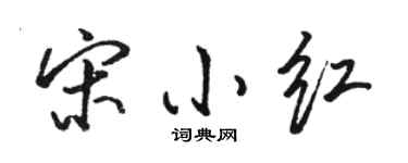 骆恒光宋小红行书个性签名怎么写