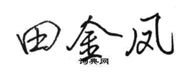 骆恒光田金凤行书个性签名怎么写