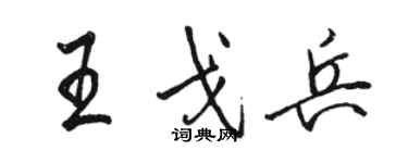 骆恒光王戈兵行书个性签名怎么写