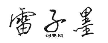 骆恒光雷子墨行书个性签名怎么写
